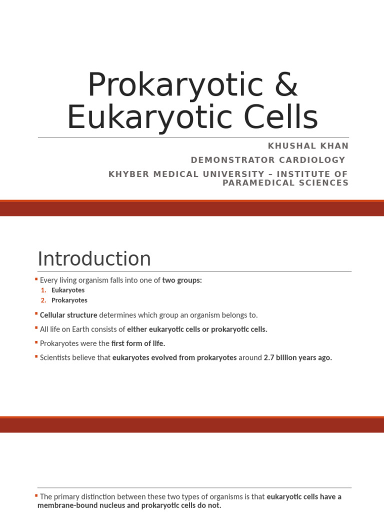 Prokaryotic vs Eukaryotic Cells Explained | PDF | Cell (Biology ...