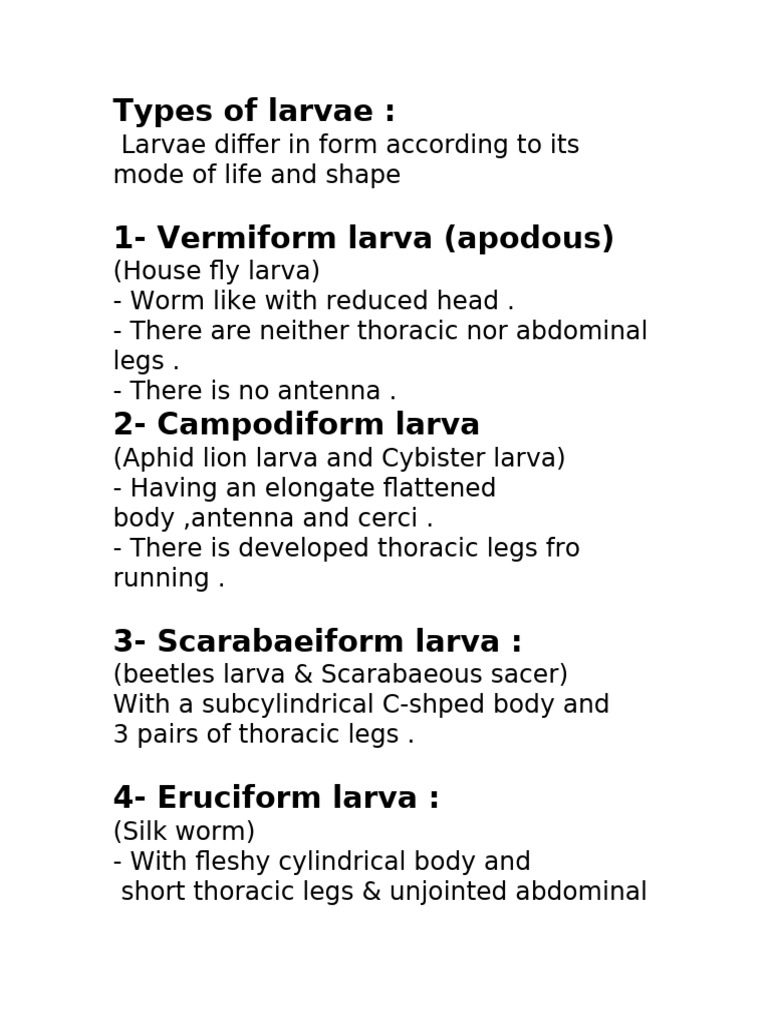Insect Larvae and Pupae Types | PDF | Insects | Pupa