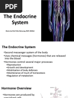 Endocrine System: Structures & Functions | PDF | Endocrine System | Hormone