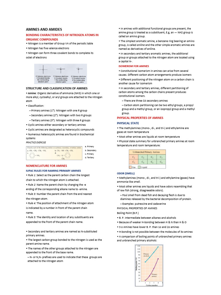 (6) AMINES AND AMIDES | PDF | Amine | Amide