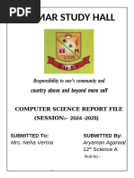 PDF Document