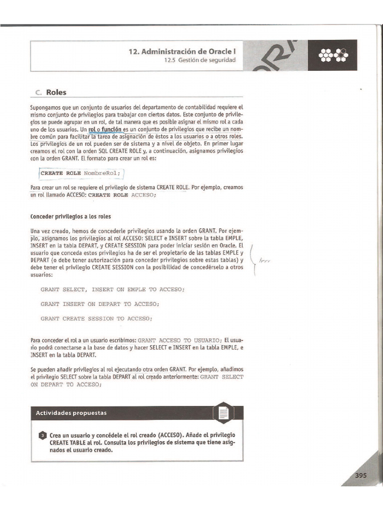 Roles Oracle | PDF