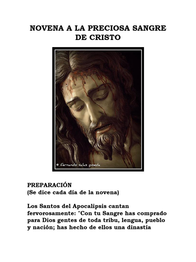 NOVENA A LA PRECIOSISIMA SANGRE DE CRISTO | PDF | Cristo (título ...