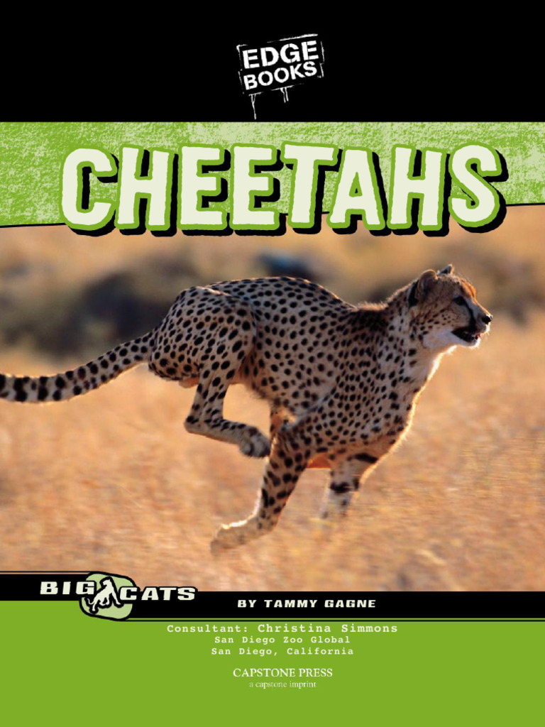 Cheetah Facts for Kids | PDF | Leopard | Felids