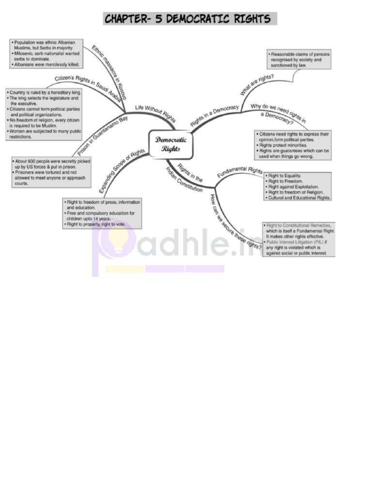 Democratic Rights - Class 9 Notes Padhle | PDF
