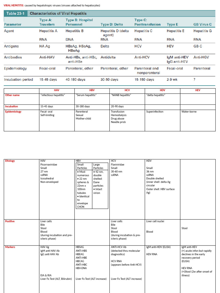 Viral Hepatitis | PDF | Hepatitis B | Hepatitis