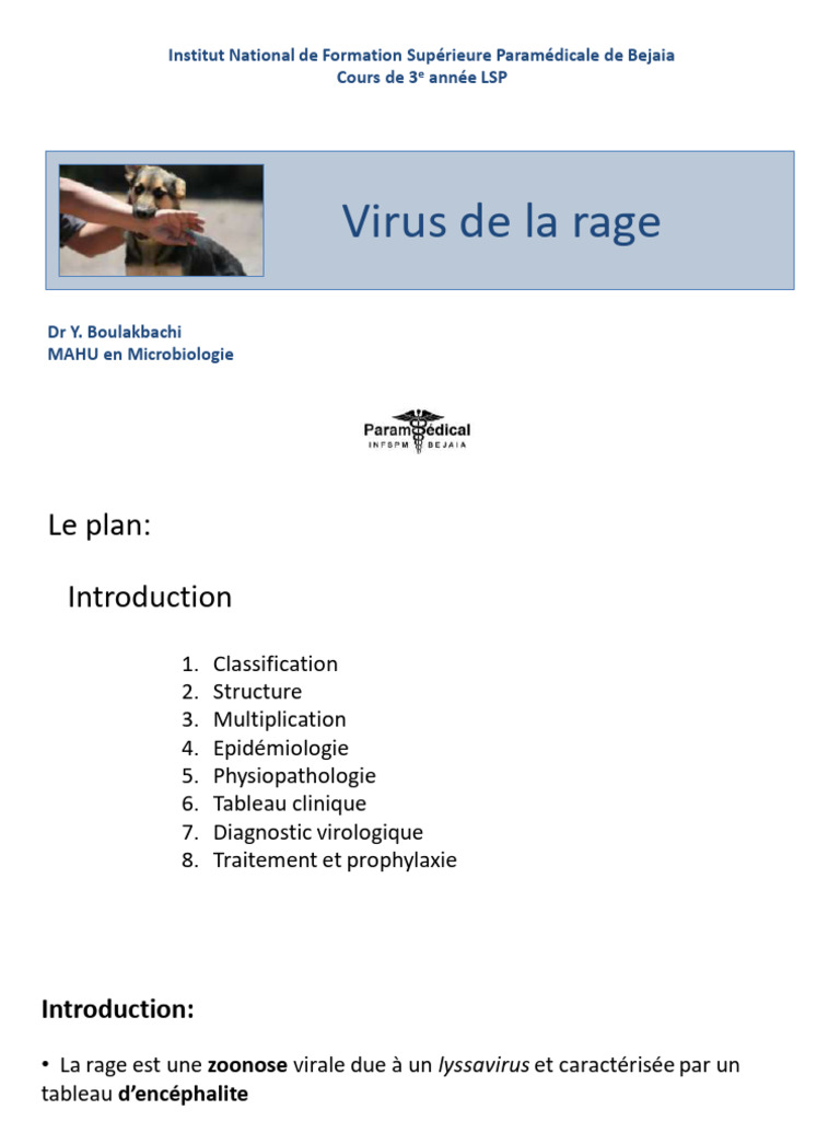 Comprendre le virus de la rage : aspects clés | PDF | Rage (maladie ...