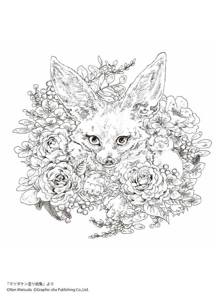 Coloring Pictures 3 | PDF