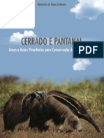 cerrado_pantanal