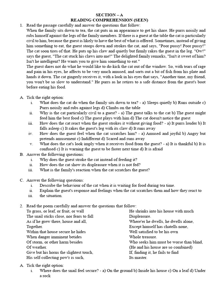X Questions | PDF | Space X | Satellite