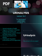 Normal Urine Routine Examination Report | PDF | Urine | Kidney