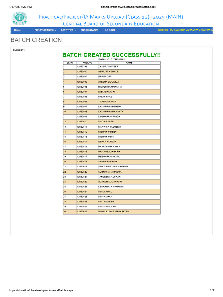 Class 12 IA Marks Batch Creation 2025 | PDF