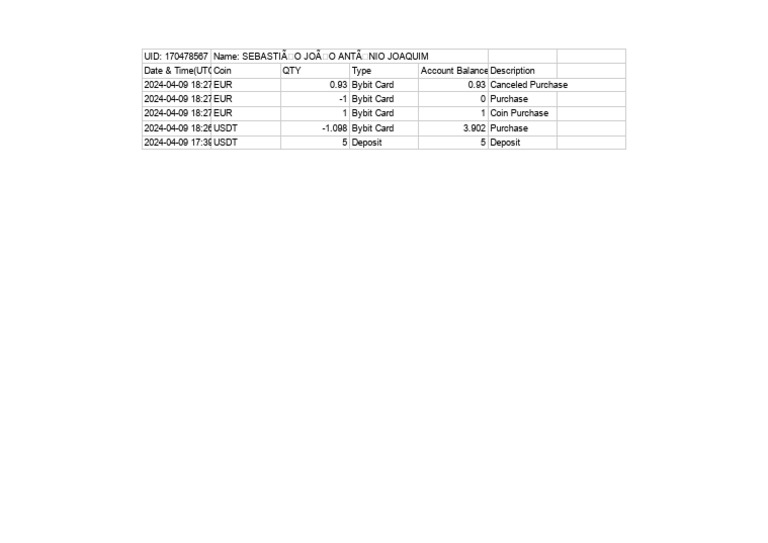 Bybit Card Transaction Summary | PDF