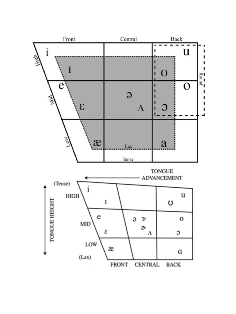 Vowel Quadrilateral PDF