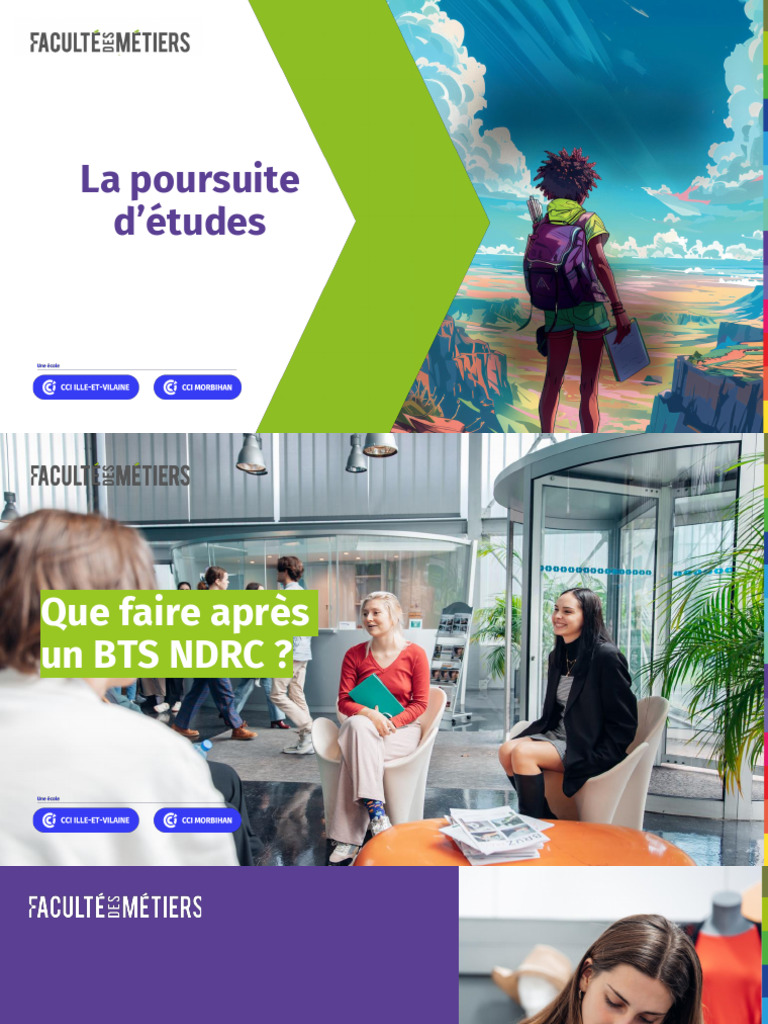 Poursuite d'études après BTS NDRC PDF Commercialisation Business — free download