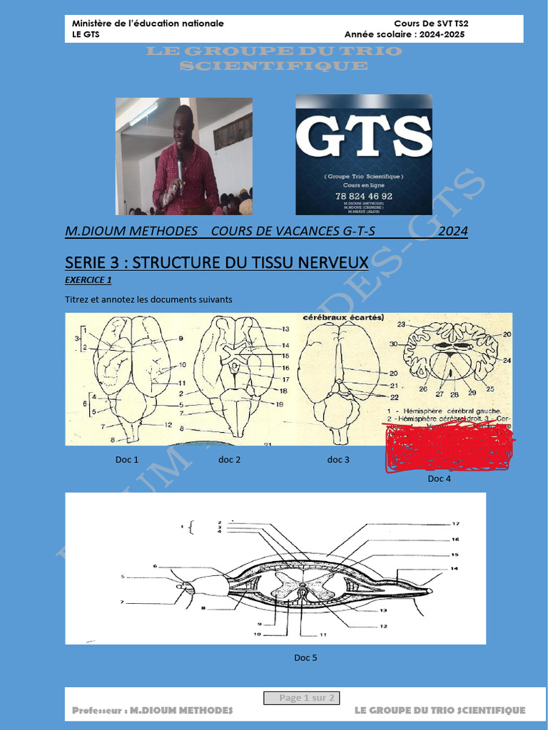 Fonctionnement du tissu nerveux | PDF