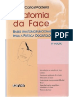 Anatomia Facial - Madeira (Resumos Do Segunda)