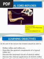 Stretch and Inverse Stretch Reflexes | PDF | Nervous System ...