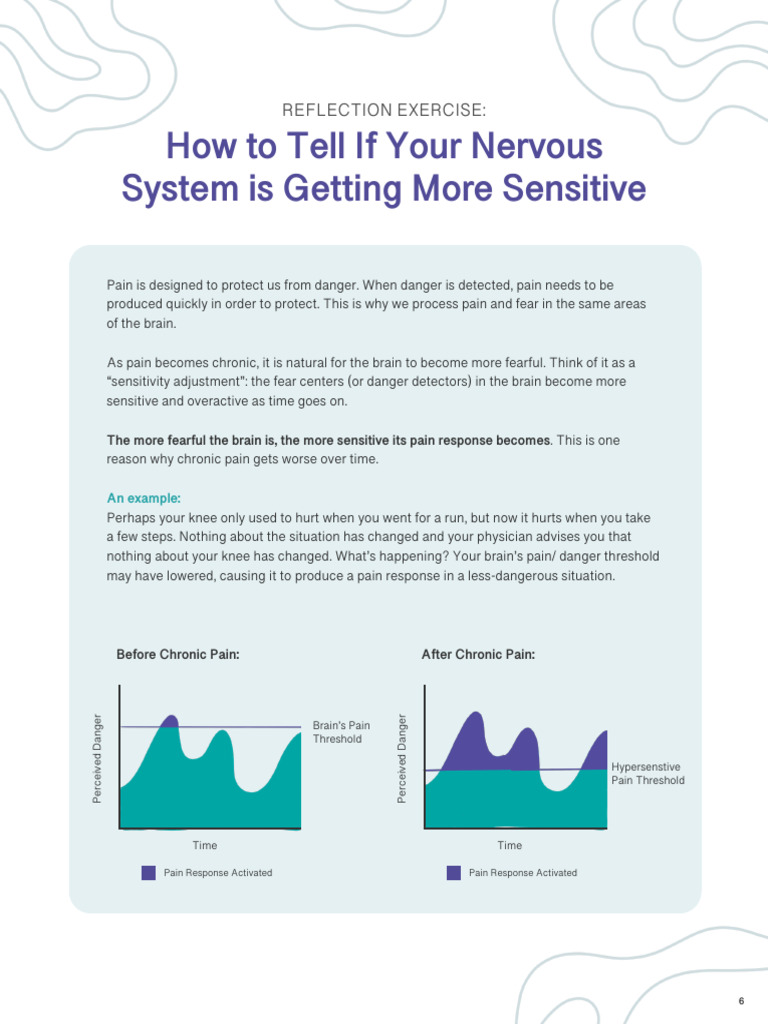 Understanding Nervous System Sensitivity Photo Inspiration