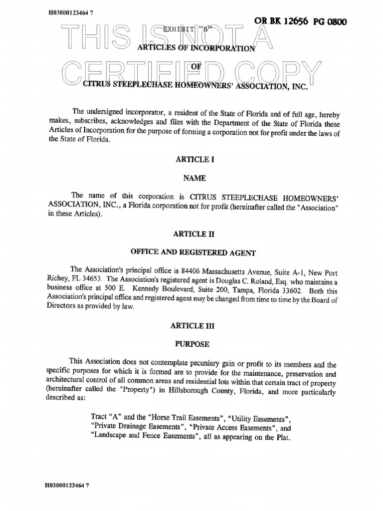 Articles of Incorp | PDF