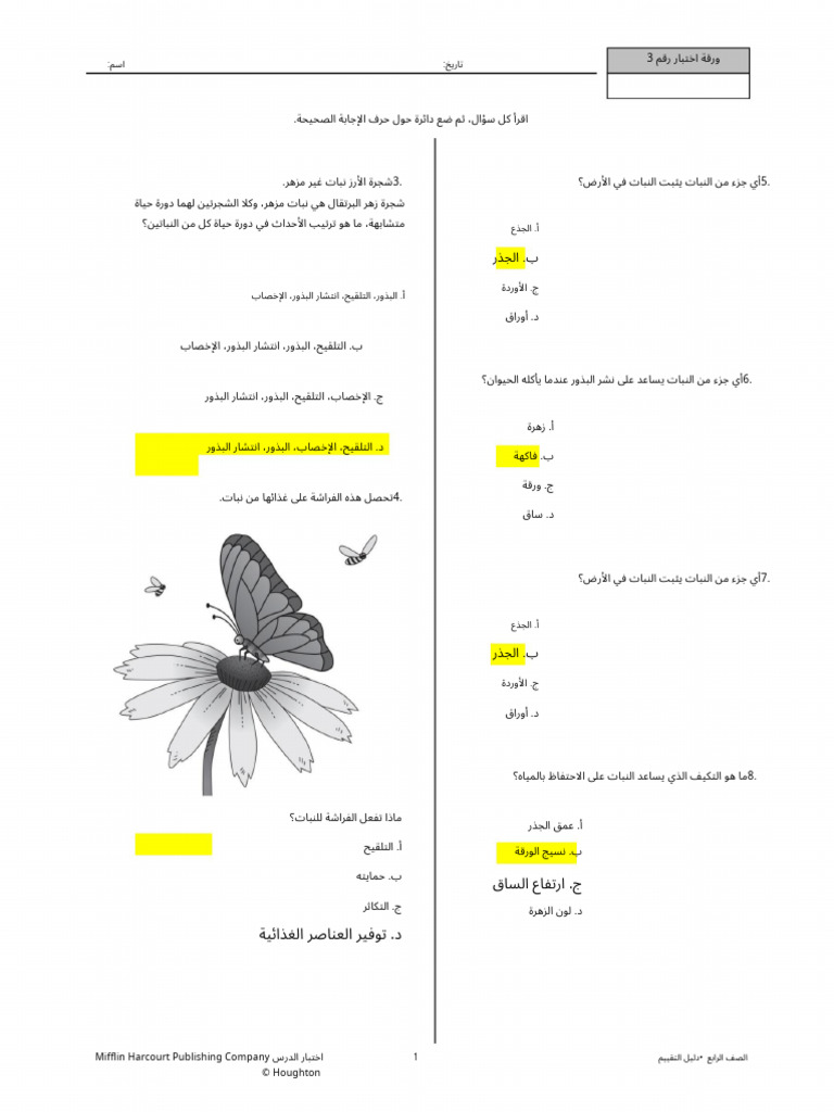 Quiz 3 Sheet Answer AR | PDF