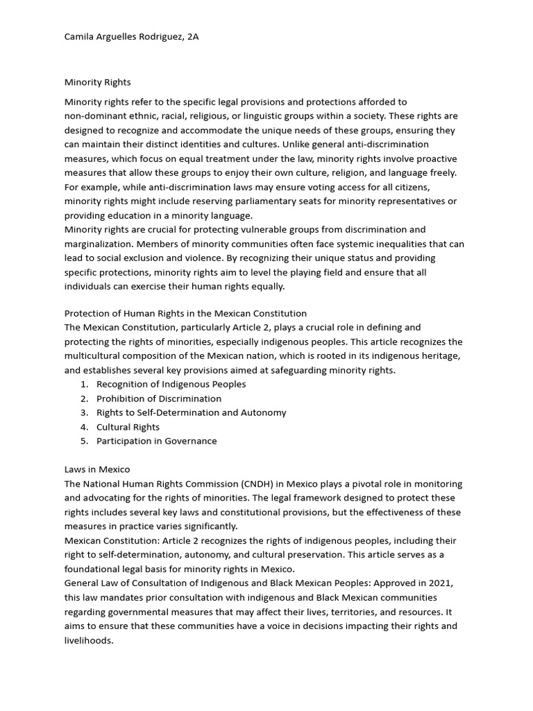 Understanding Minority Rights in Mexico | PDF | Minority Group ...