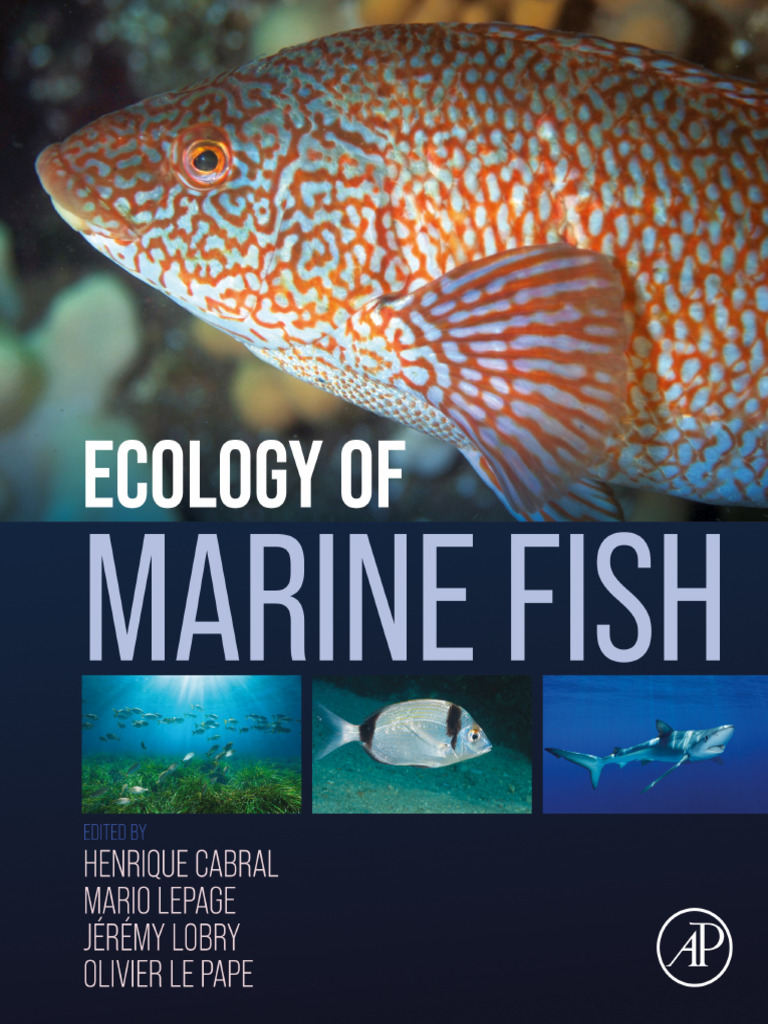 Marine Fish Ecology Overview | PDF | Food Web | Coast