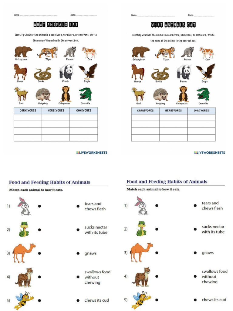 Animals Eat | PDF