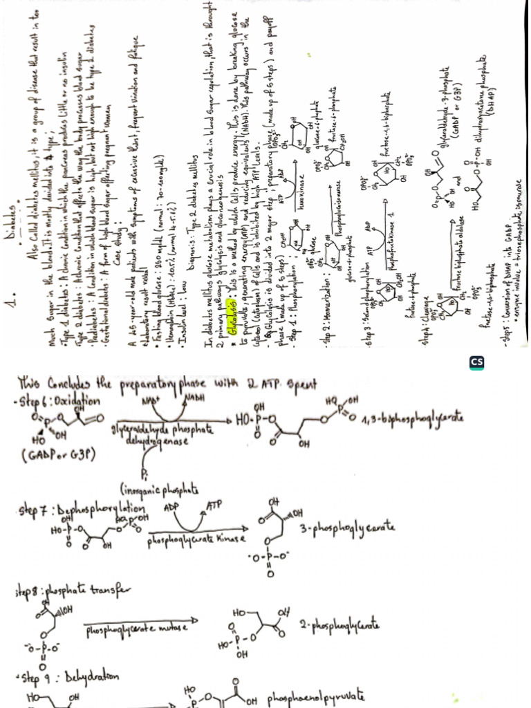 Biochem | PDF