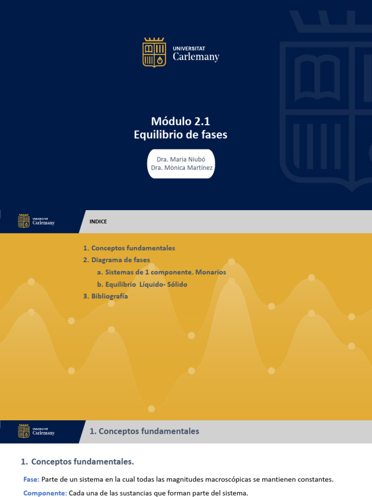 Equilibrio de Fases y Diagramas Termodinámicos | PDF | Fase (materia ...