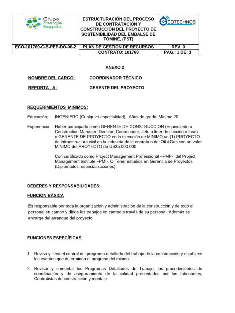 ROL LIDER TECNICO | PDF | Profesional en el manejo de proyectos