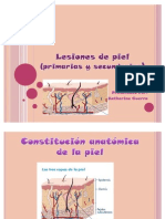 Lesiones de La Piel