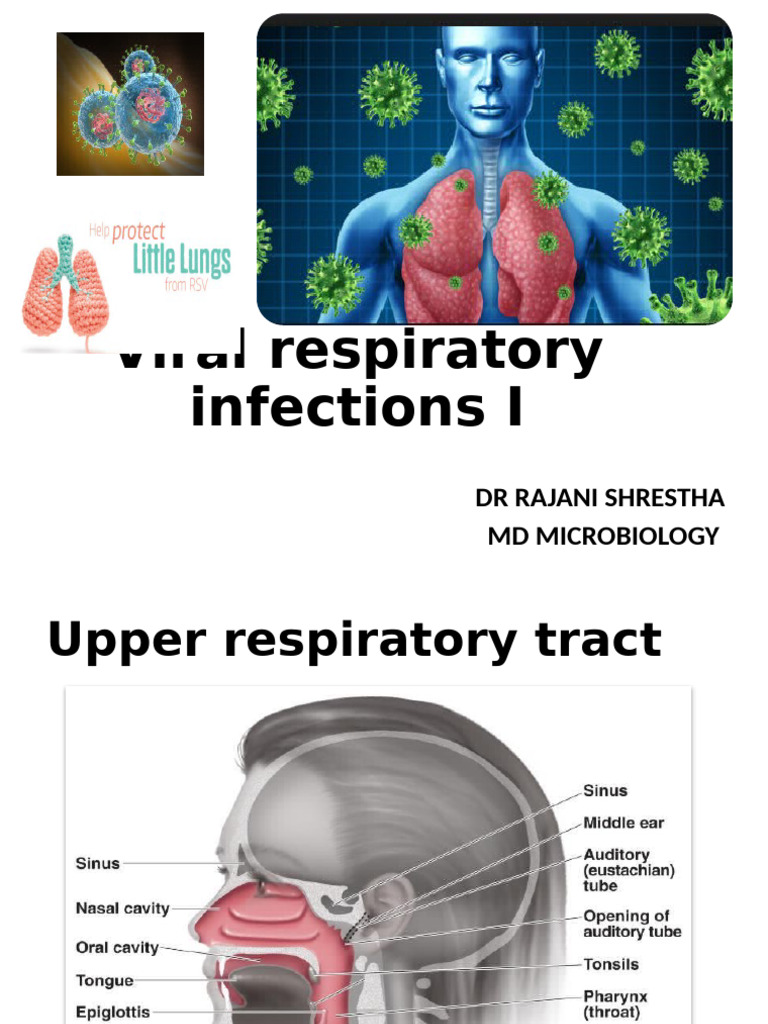 Overview of Viral Respiratory Infections | PDF | Influenza | Virus