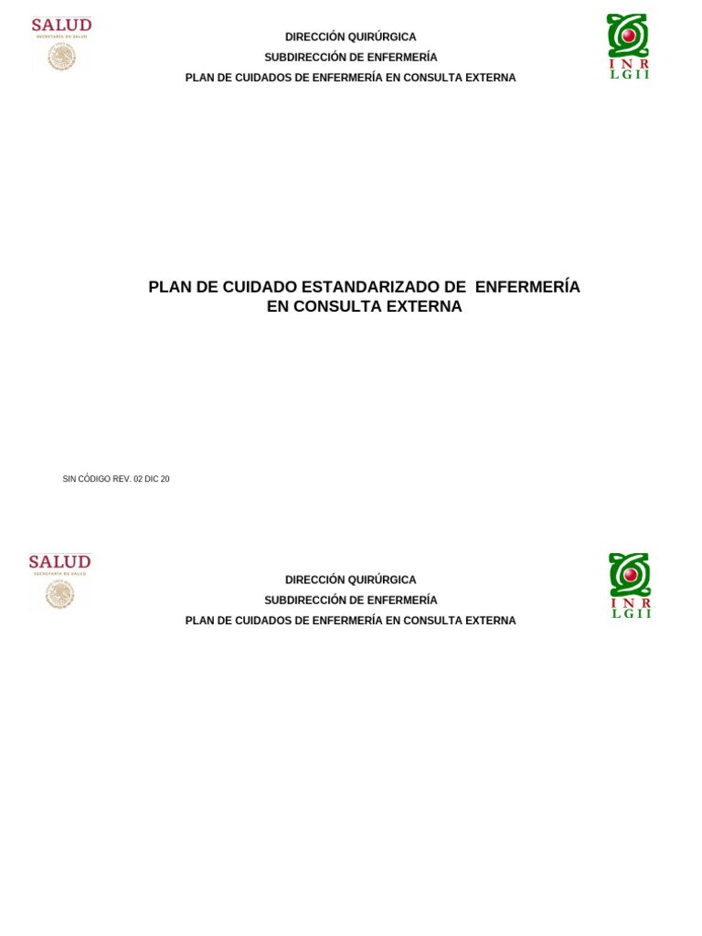 Plan de Cuidado Estandarizado de Enfermeria en Consulta Externa | PDF ...