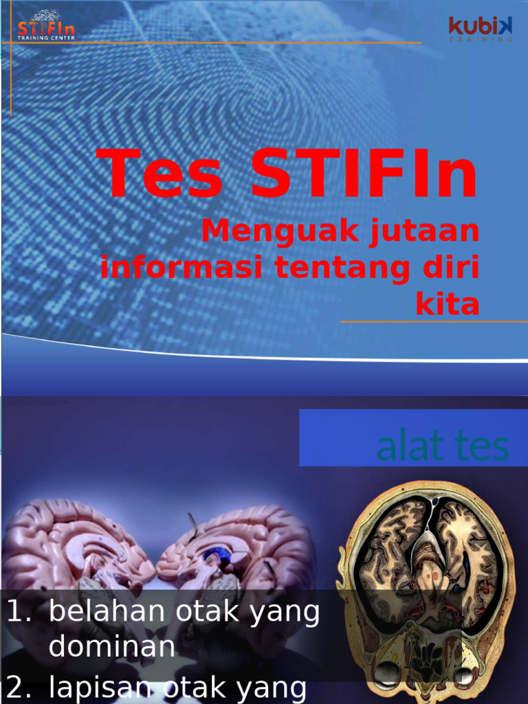 Rumus STIFIn untuk Kenali Potensi Diri | PDF