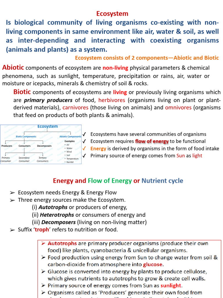 Ecosystem Components: Energy Flow & Food Webs | PDF | Food Web | Ecosystem