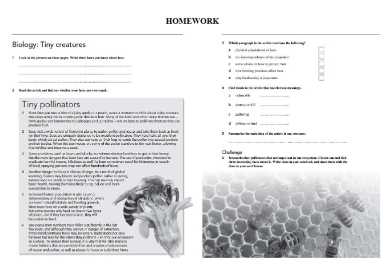 1737346757-Chapter 7 - HW WB 82 Bees | PDF