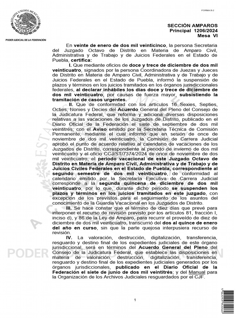 Amparo y Archivo Judicial en Puebla | PDF | Caso de ley | Ley ...