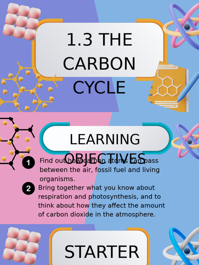 Understanding the Carbon Cycle | PDF