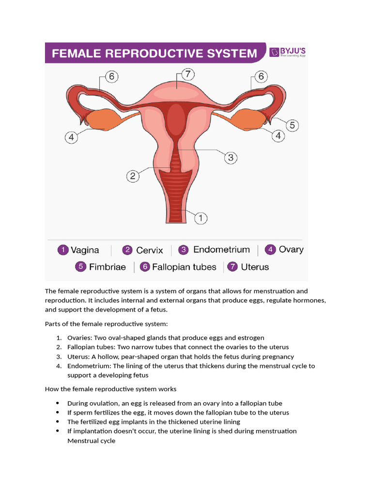 Reproduction in Living Organisms | PDF | Menstrual Cycle | Sexually ...