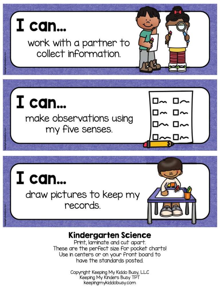 Kindergarten Science | PDF