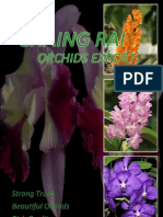 Chiang Rai Orchids Export Group 26 Sec. 2