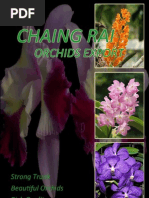 Chiang Rai Orchids Export Group 26 Sec. 2