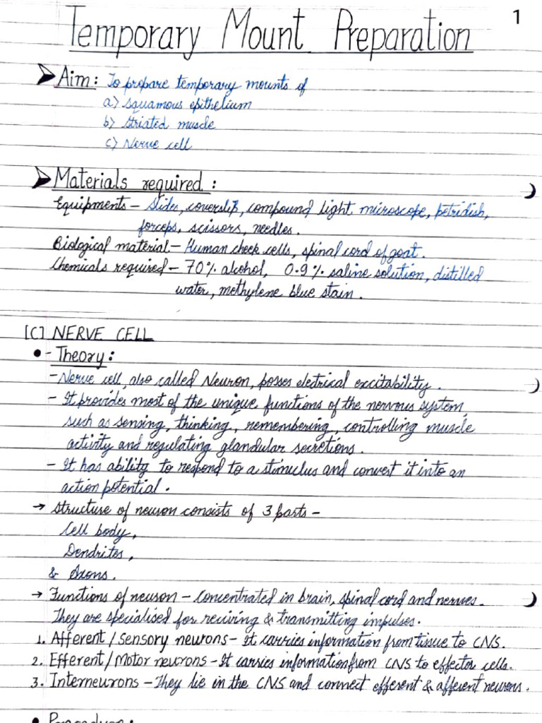 Temporary Mount of Squamous Epithelium | PDF | Axon | Nervous System