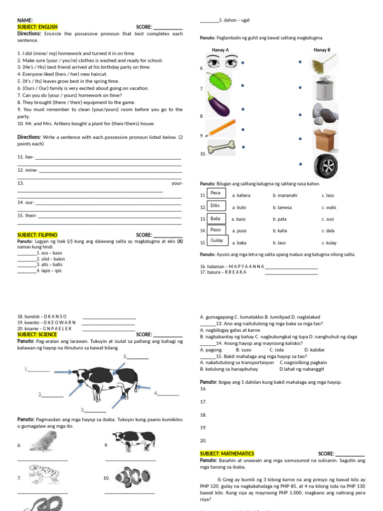 Summative Test - Week 5 | PDF