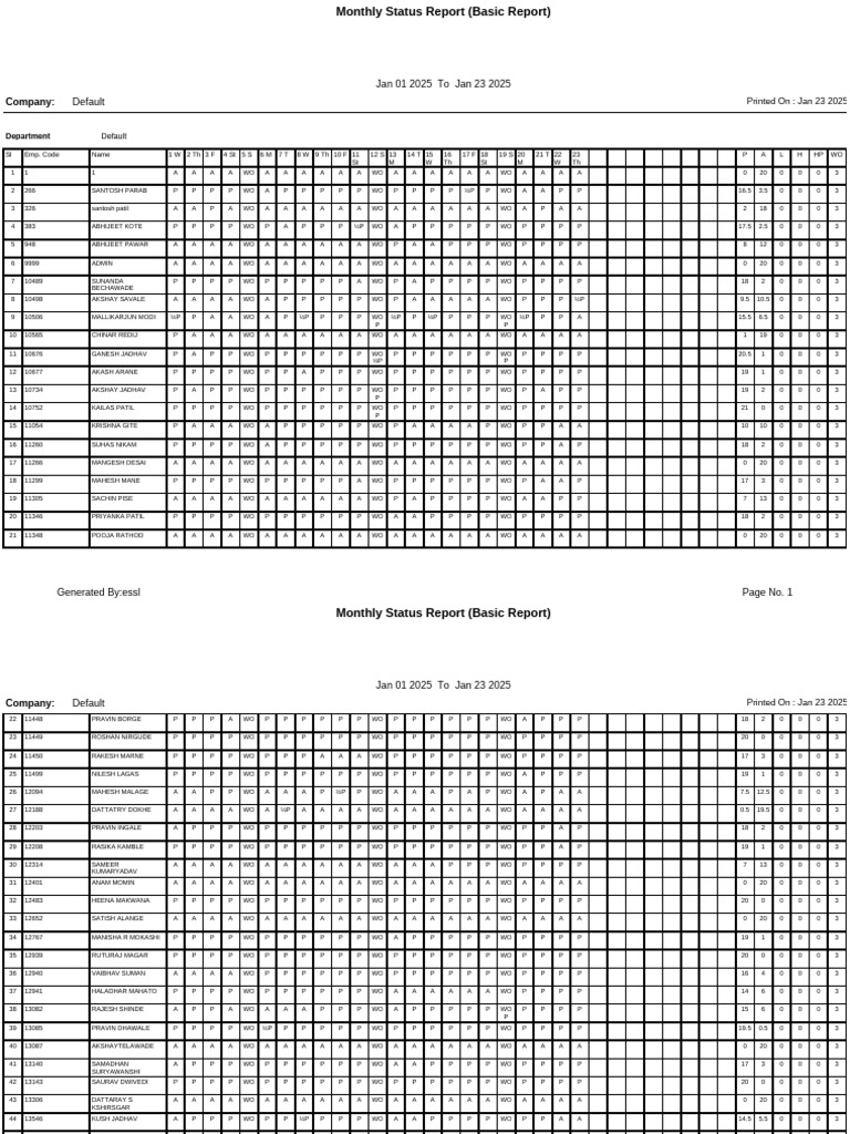 Monthly Status Report | PDF