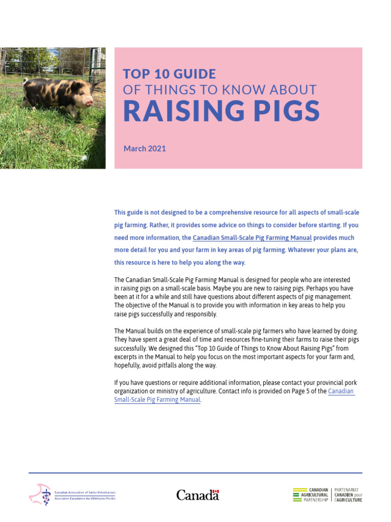 Top 10 Guide of Things To Know About Raising Pigs - March 2021 | PDF ...