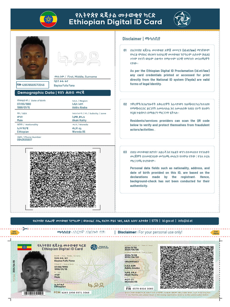 Bayisa File | PDF