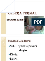 Cedera Termal