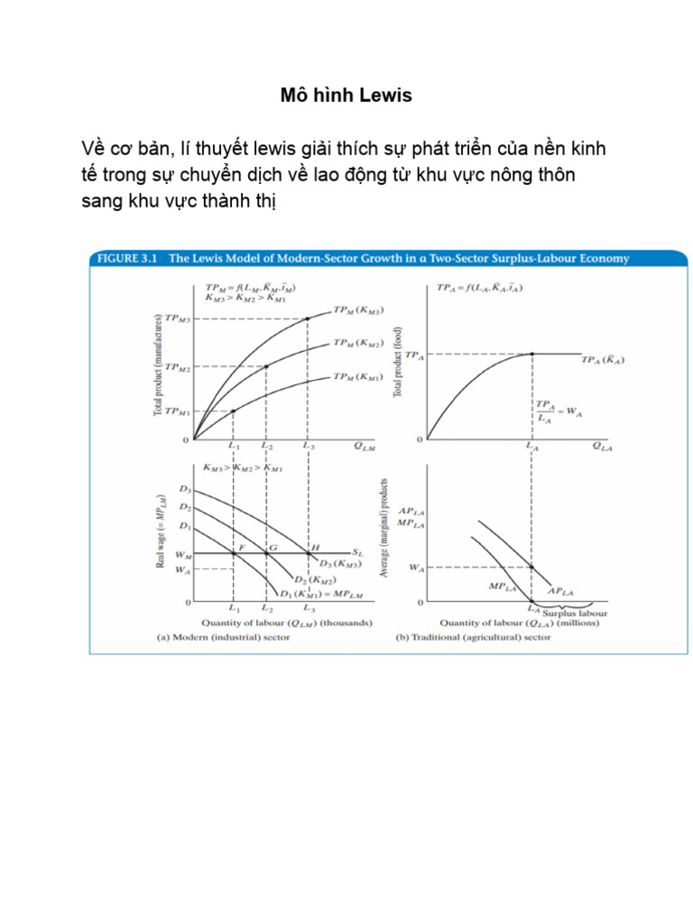 Lewis Model | PDF